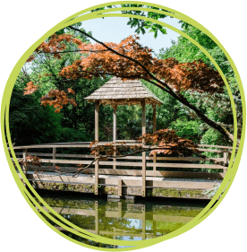 Japanese garden